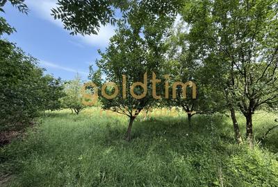 Casă individuală cu 7 camere cu Canalizare în Cornu - 1