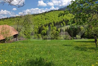 Teren de 3400 mp, în Bran