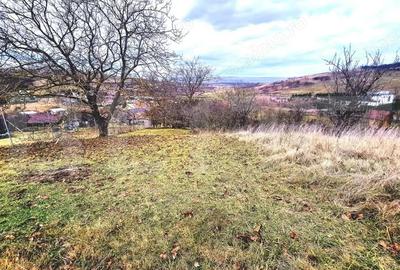 Teren de 857 mp, în Sopor - 6