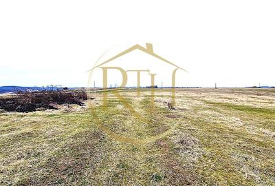 Teren agricol extravilan de 25000 mp, în Secaș - 16