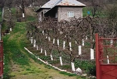 Casă cu 3 camere cu Teren 2800 Mp în Central - 11