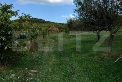 1.07 Ha in Slatinita - 1