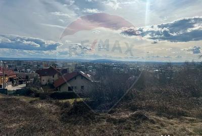 Teren de 2868 mp, în Săsar - 5