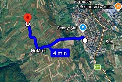 Teren Construcții extravilan de 4524 mp, în Ștei - 4