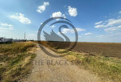 Teren extravilan de vanzare | 9882mp | Berceni - Prahova | Comision 0% - 6