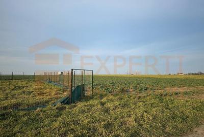 Teren Construcții intravilan de 420 mp, în Eforie Nord - 2