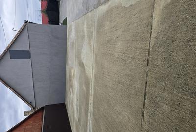 Vand casa cu gradina in Ciumeghiu - 7