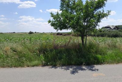 TEISORI /GR - 2 LOTURI LIPITE (TOT. 16500 MP) DE VZ 100K EUR NEG - 11