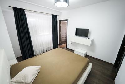 Apartament cu 2 camere semidecomandat, mobilat în Brazda lui Novac - 4