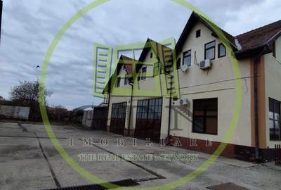 Spațiu comercial, de 200 mp, în Turnișor - 4
