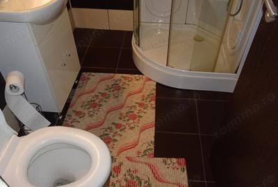 Apartament cu 2 camere semidecomandat în Ultracentral - 10