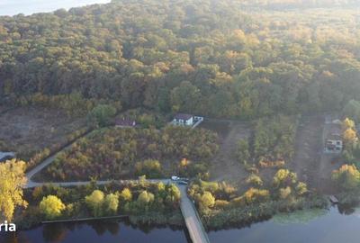 Teren de 5017 mp, în Gruiu - 8