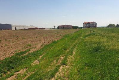 Teren de 45000 mp, în Biharia