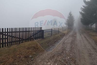 Teren INTRAVILAN 23.238m.p. Dorna-Arini / Cozanesti - 3