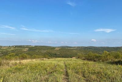 Teren Construcții intravilan de 1239 mp, în Săldăbagiu de Munte - 2