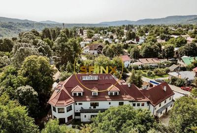 Vila Zoldy, 21.823 mp teren cu iesire catre paraul Prahova