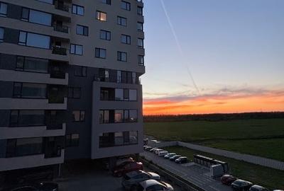 Apartament cu 2 camere decomandat, mobilat în Brătianu - 13