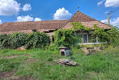 Teren de 3500 mp, în Sângeorzu Nou - 3