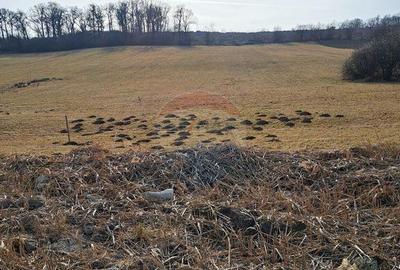 Teren pentru contructie Reghin / Strada Pometului - 13