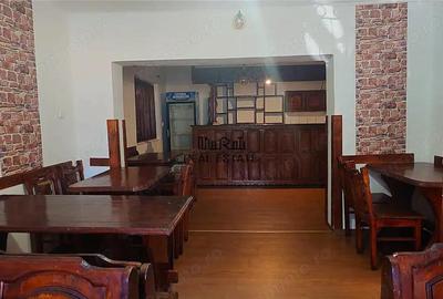 Proprietate in Apuseni - fosta pizzerie, ideala pentru afacere sau locuinta - 17