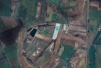 Teren agricol extravilan de 50000 mp, în Exterior Vest - 3