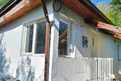 APUSENI! Casă modernizată cochetă, teren imens, pădure Țara Zarandului - 1