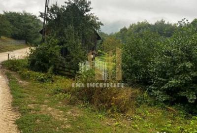Teren de 1955 mp, în Șinca - 10