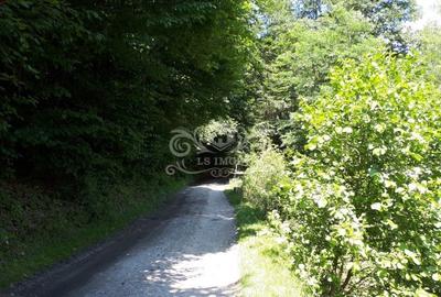 Vand teren si padure conifere in Albestii de Muscel. - 6