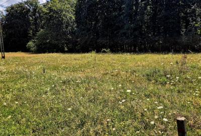 Teren Construcții intravilan de 1000 mp, în Sâmbăta de Sus - 11