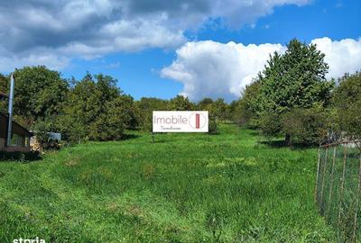 Spațiu comercial, în Central