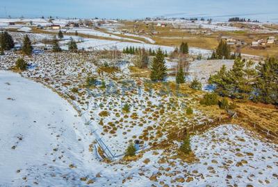 Oportunitate de investitie! 1,06 Hectare Teren Intravilan In Marisel - 3