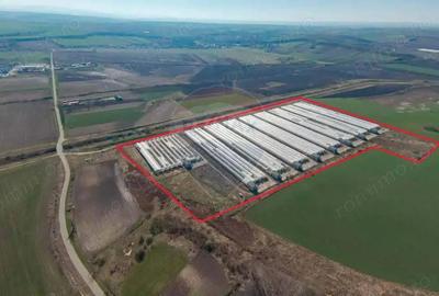 Complex de sere certificate BIO, de vanzare, Ciocaia, Bihor - 1