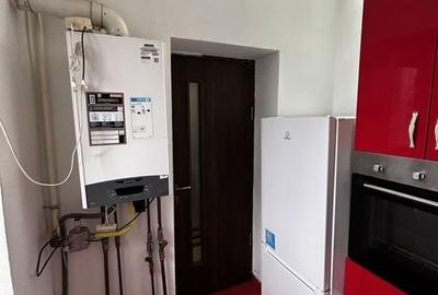 Apartament 3 Camere De Inchiriat Boul Rosu - 6