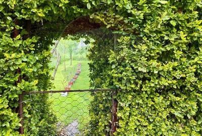 Casă individuală cu 5 camere cu Canalizare în Nord-Vest - 25