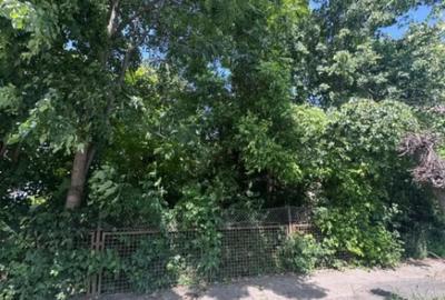 Teren de 4200 mp, în Rădăuți - 1