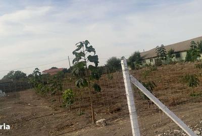 Teren de 7000 mp, în Exterior Vest - 3