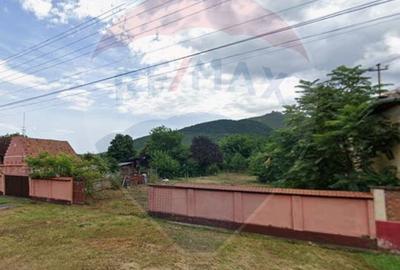 Teren Construcții intravilan de 1295 mp, în Șiria - 3