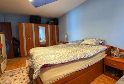 Vila ta aproape de natura – 8 camere, Lacul Pasarea - 49