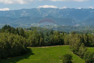 Teren Panoramic in Bran - Vedere spre Bucegi & Piatra Craiului - 4
