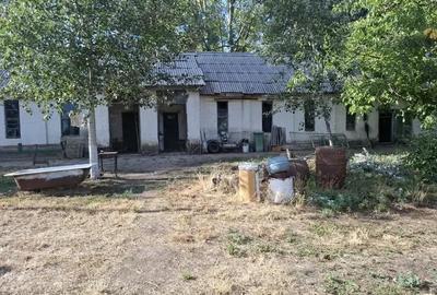 Spațiu comercial, de 676 mp, în Nădlac - 4