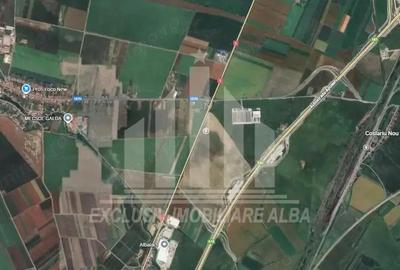 Teren agricol la sosea, pretabil si ptr constructii industriale - 9