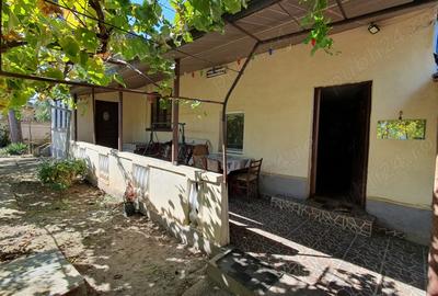 Casă cu 3 camere cu Teren 2871 Mp în Giubega - 6