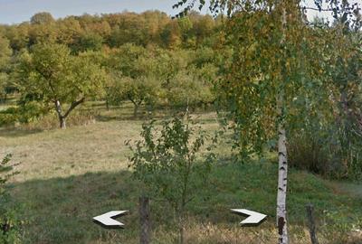 Teren de 2100 mp, în Fălticeni - 4