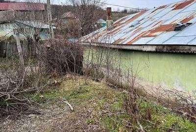 Casă cu 2 camere în Bursuci - 6