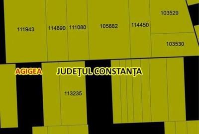 Teren de 15000 mp, în Agigea