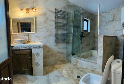 Casă cu 8 camere cu Teren 1120 Mp în Peștișani - 2