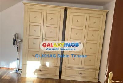 De inchirere vila Stefanesti Lidl ....curte amenajata ter - 4