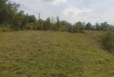 Teren de 2000 mp, în Ceptura - 3