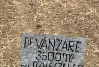 Teren de 3500 mp, în Argeșani