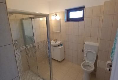 CASA CU TEREN GENEROS IN GRUIU - 19